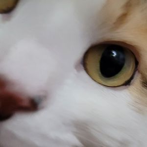 Meet your Posher, Nadia